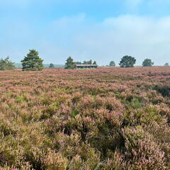 23-09-10 10-47-40 6599